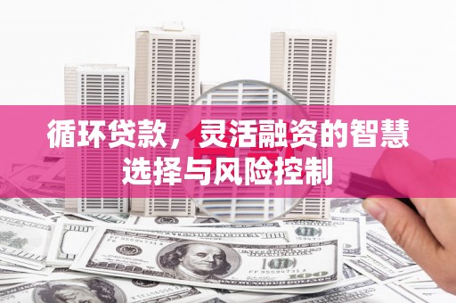 龙城循环贷款，灵活融资的智慧选择与风险控制