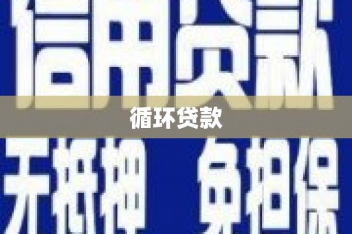 龙城循环贷款