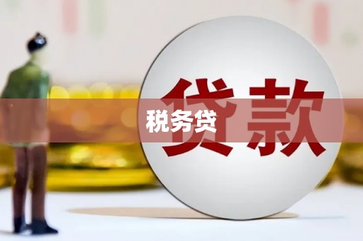 龙城税务贷