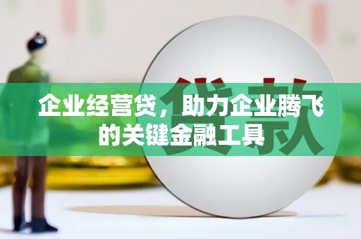 龙城企业经营贷，助力企业腾飞的关键金融工具