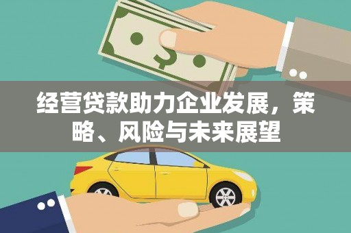 龙城经营贷款助力企业发展，策略、风险与未来展望