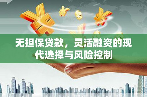 龙城无担保贷款，灵活融资的现代选择与风险控制