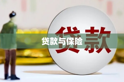 龙城贷款与保险
