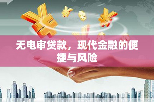 龙城无电审贷款，现代金融的便捷与风险
