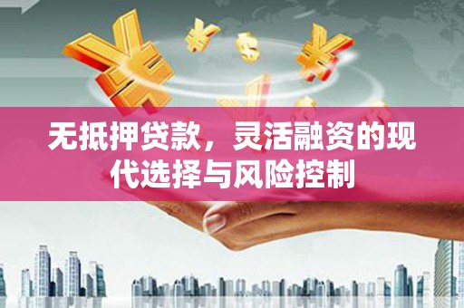 龙城无抵押贷款，灵活融资的现代选择与风险控制