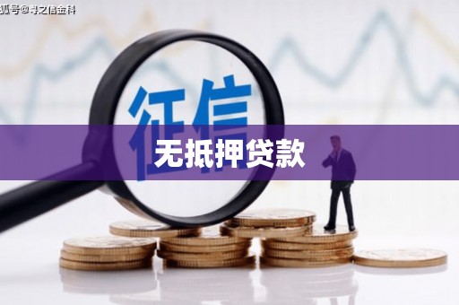 龙城无抵押贷款