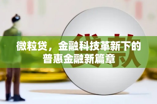 龙城微粒贷，金融科技革新下的普惠金融新篇章