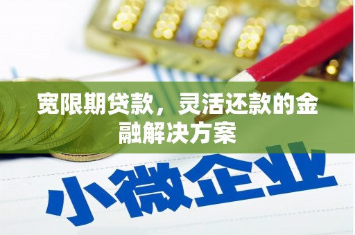 龙城宽限期贷款，灵活还款的金融解决方案
