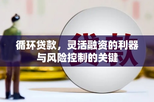 龙城循环贷款，灵活融资的利器与风险控制的关键
