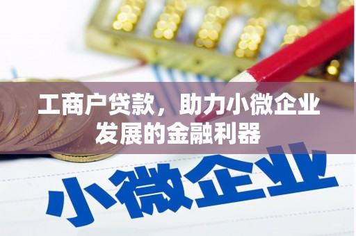 龙城工商户贷款，助力小微企业发展的金融利器