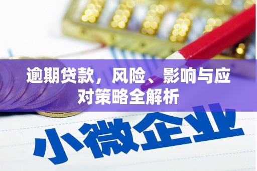 龙城逾期贷款，风险、影响与应对策略全解析