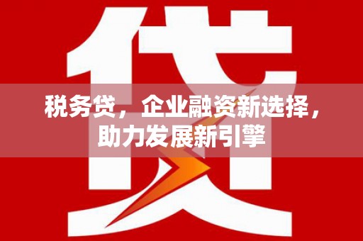 龙城税务贷，企业融资新选择，助力发展新引擎