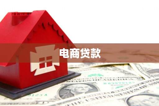 龙城电商贷款