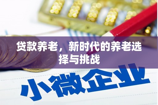 龙城贷款养老，新时代的养老选择与挑战