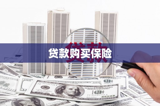 龙城贷款购买保险