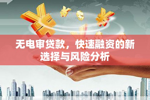 龙城无电审贷款，快速融资的新选择与风险分析