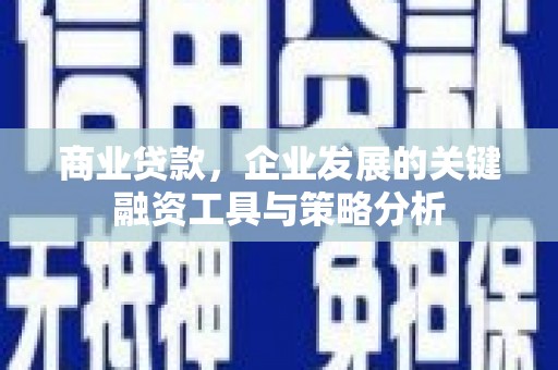 龙城商业贷款，企业发展的关键融资工具与策略分析