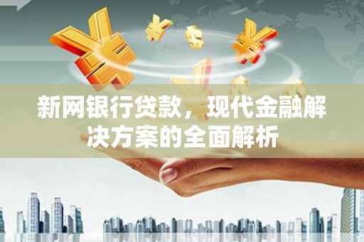 龙城新网银行贷款，现代金融解决方案的全面解析