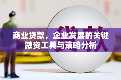 龙城商业贷款，企业发展的关键融资工具与策略分析
