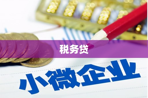 龙城税务贷