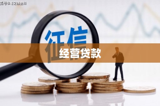 龙城经营贷款