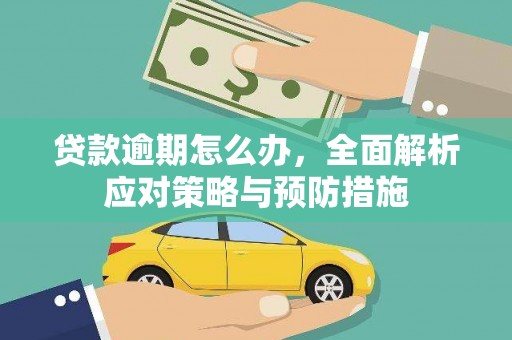 龙城贷款逾期怎么办，全面解析应对策略与预防措施