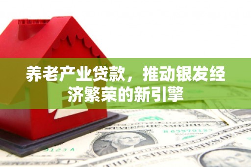 龙城养老产业贷款，推动银发经济繁荣的新引擎