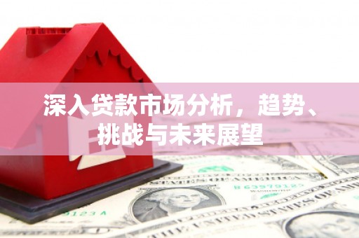 龙城深入贷款市场分析，趋势、挑战与未来展望