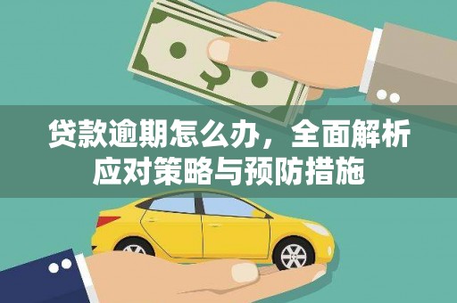 龙城贷款逾期怎么办，全面解析应对策略与预防措施