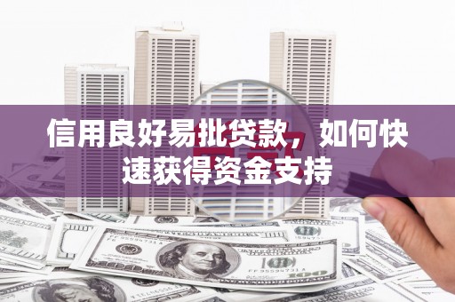 龙城信用良好易批贷款，如何快速获得资金支持