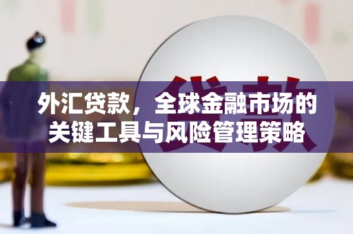 龙城外汇贷款，全球金融市场的关键工具与风险管理策略