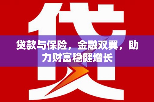 龙城贷款与保险，金融双翼，助力财富稳健增长