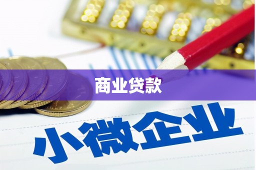 龙城商业贷款