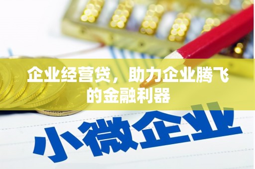 龙城企业经营贷，助力企业腾飞的金融利器