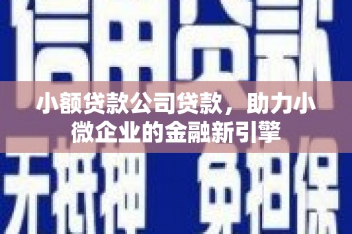 龙城小额贷款公司贷款，助力小微企业的金融新引擎