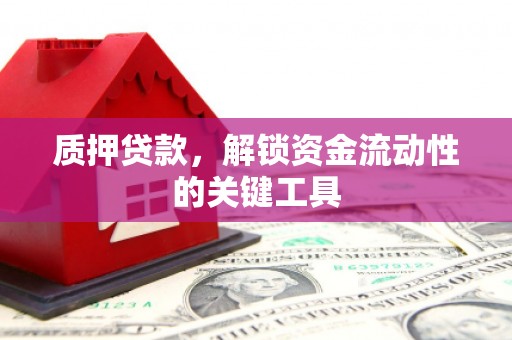 龙城质押贷款，解锁资金流动性的关键工具