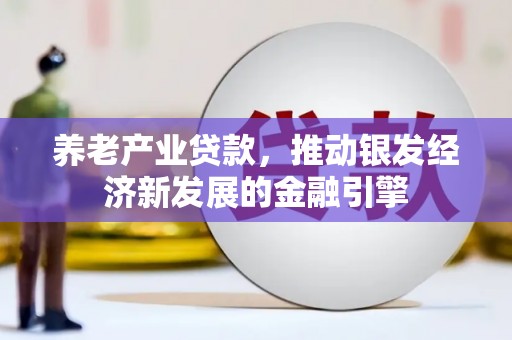 龙城养老产业贷款，推动银发经济新发展的金融引擎