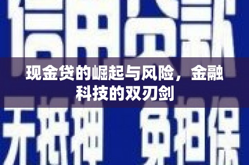 龙城现金贷的崛起与风险，金融科技的双刃剑
