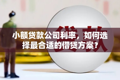 龙城小额贷款公司利率，如何选择最合适的借贷方案？