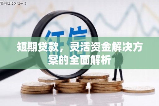龙城短期贷款，灵活资金解决方案的全面解析