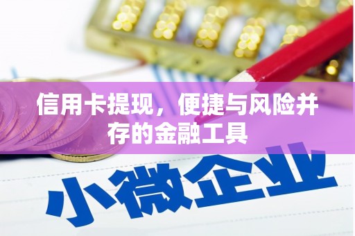 龙城信用卡提现，便捷与风险并存的金融工具