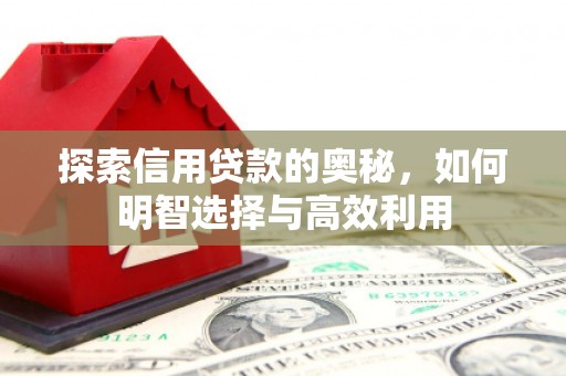 龙城探索信用贷款的奥秘，如何明智选择与高效利用