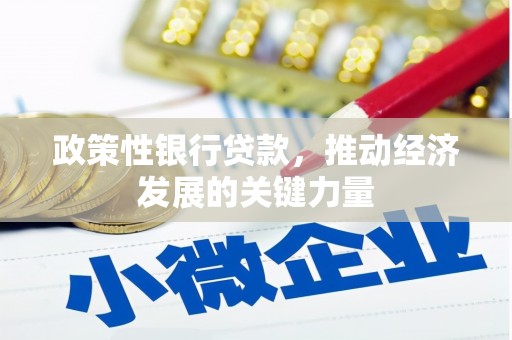 龙城政策性银行贷款，推动经济发展的关键力量
