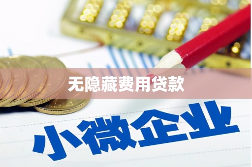 龙城无隐藏费用贷款