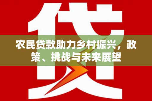 龙城农民贷款助力乡村振兴，政策、挑战与未来展望
