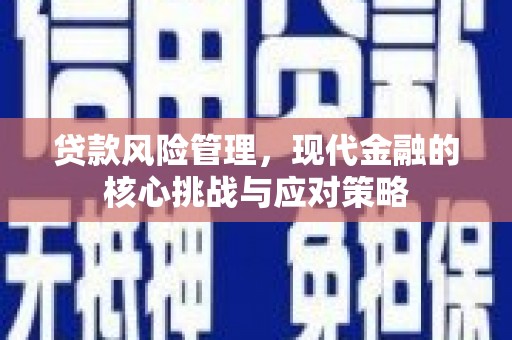 龙城贷款风险管理，现代金融的核心挑战与应对策略