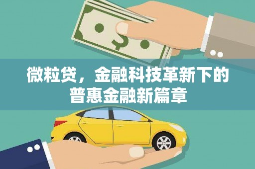 龙城微粒贷，金融科技革新下的普惠金融新篇章