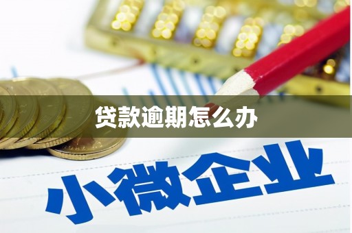 龙城贷款逾期怎么办
