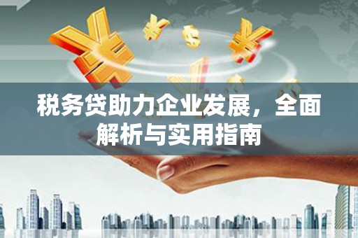 龙城税务贷助力企业发展，全面解析与实用指南