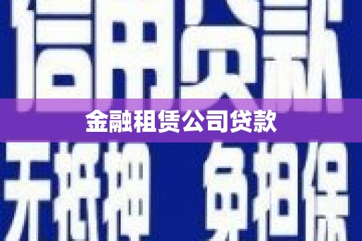 龙城金融租赁公司贷款